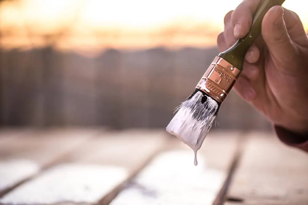 Painters in Pitt Meadows