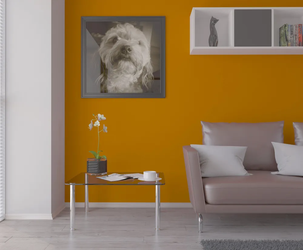 painters in coquitlam