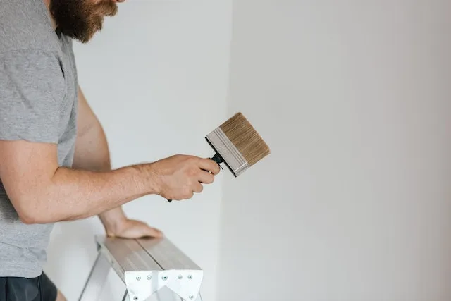 painters in delta