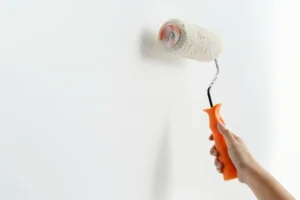 painters in mission